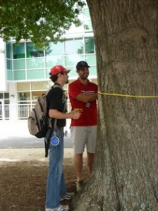 energy interns measure a tree on NC State's campus as part of a tree inventory