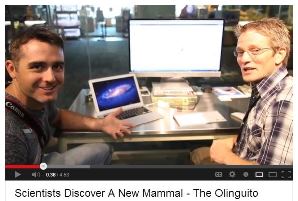 Watch the Untamed Science Video about the Olinguito