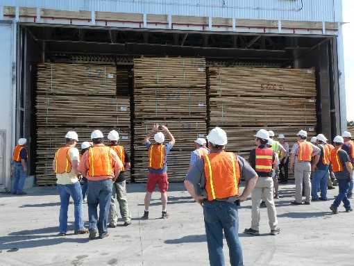 Construction Workers Examining Wood - WPE 2018 Dry Kiln Short Course - College of Natural Resources at NC State University